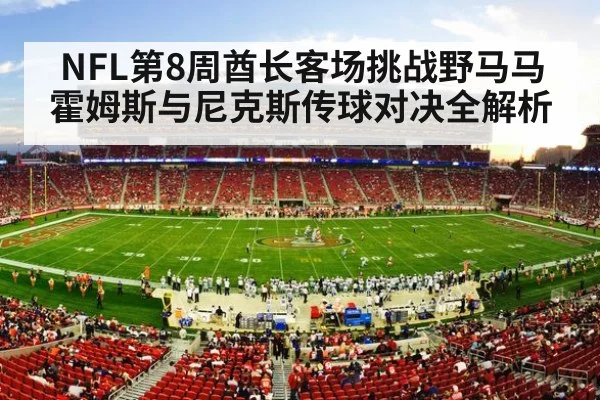 NFL stadium crowd night game